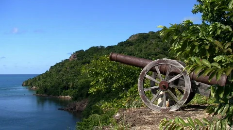 Cannon 03 Stock Footage 624516