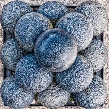 Cannon balls Stock Photos