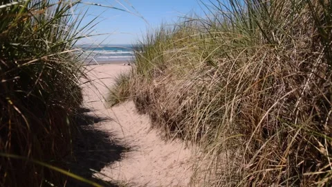 Cannon Beach-03 Video stock 279959960