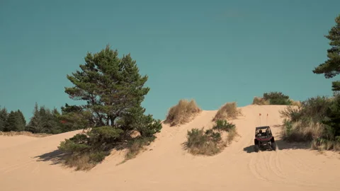 Cannon Beach 12 Video stock 233216991