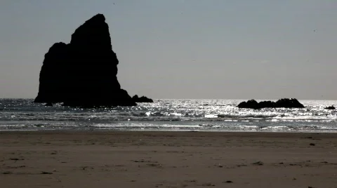 Cannon Beach 3 Stock Footage 544299