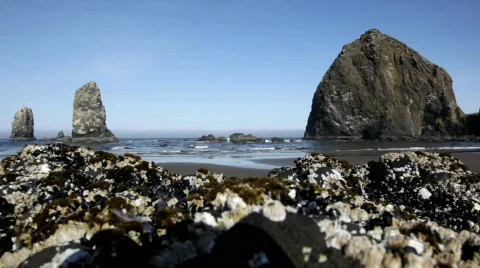 Cannon Beach 4 Stock Footage 544297