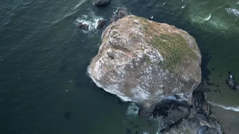 Cannon Beach and Haystack Rock in Oregon 9 스톡 동영상 332071544