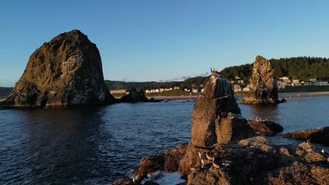 Cannon Beach and Haystack Rock in Oregon 5 Vídeos de archivo 332071636
