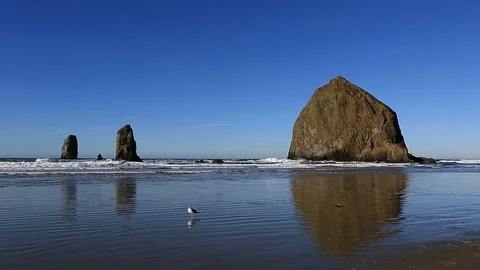 Cannon Beach with Haystack Rock and Needles along Oregon Coast 1080p Stock Footage 83192879