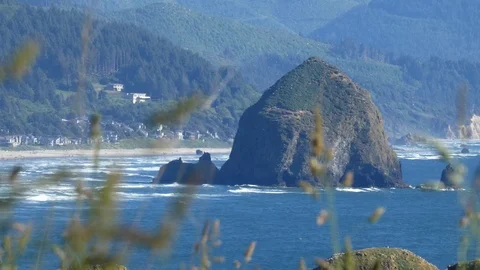 Cannon Beach with haystack rock surround... | Stock Video | Pond5