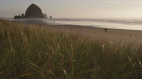 Cannon Beach Oregon Video stock 36513831