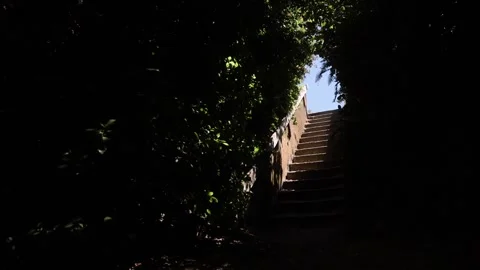 Cannon Beach - Stairs Video stock 279945342