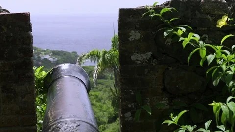 Cannon overlooking scenery 스톡 동영상 77137808
