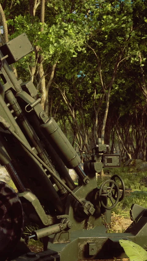Cannon positioned in forest area during military exercise Stock Footage 334195986