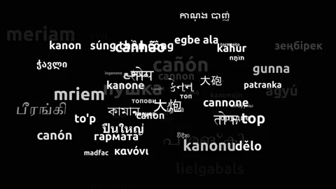 Cannon Translated in 65 Worldwide Languages Endless Looping 3d Zooming Wordcl Video stock 145208700