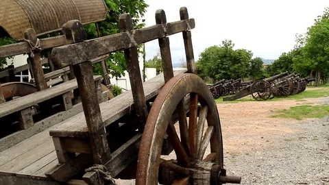 Cannon2 Видео 91756306