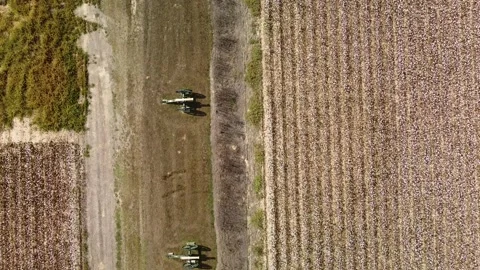 Cannons Stock Footage 250884275