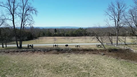 Cannons Trim Stock Footage 236593644