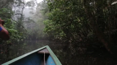 Canoe in the Amazon rainforest Stock Footage 41856956