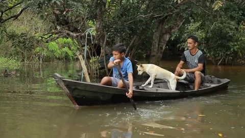 Canoe amazon river Video stock 153097693