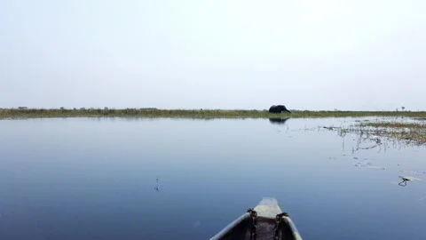 On canoe approaching elephant, wide 2 Stock Footage 304117656