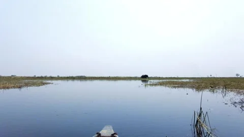 On canoe approaching elephant, wide Stock Footage 304115384