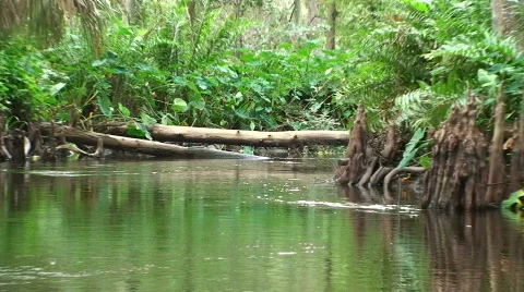 Canoe Exploration Stock Footage 535443