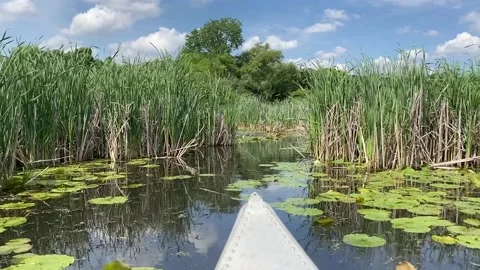 Canoe Floating on Lake 库存影片 230936647