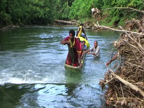 Canoe getting stuck Stock Footage 3587716
