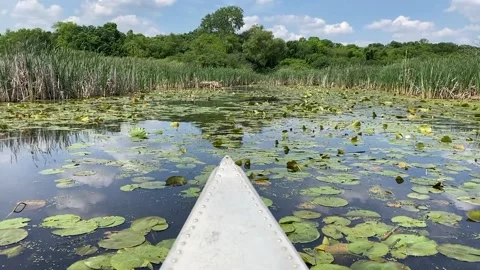 Canoe on Lake 库存影片 230937408