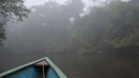 Canoe on a misty rainforest river Stock Footage 41856892