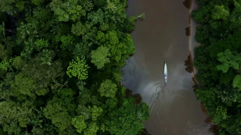 A canoe is moving over a small river in the Amazon rainforest with many trees Stock Footage 169939076