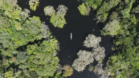 Canoe Navigating Along Amazon River Igapó Forest – Drone View Stock Footage 322114801