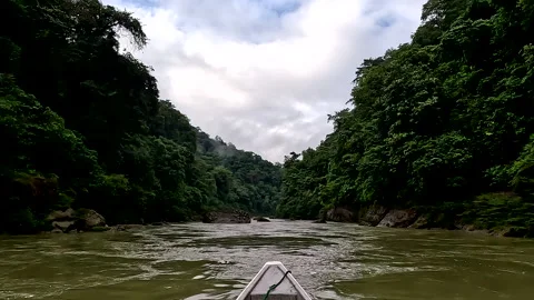 A canoe is navigating through a tropical river filled with large boulders; Stock Footage 336914597