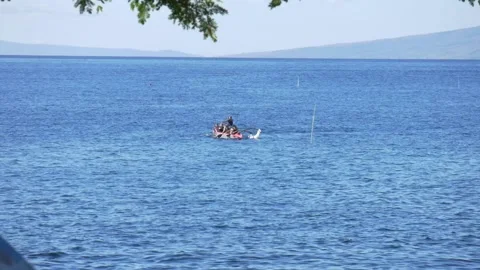 Canoe paddle race Stock Footage 131328716