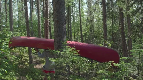 Canoe portage 스톡 동영상 88298832