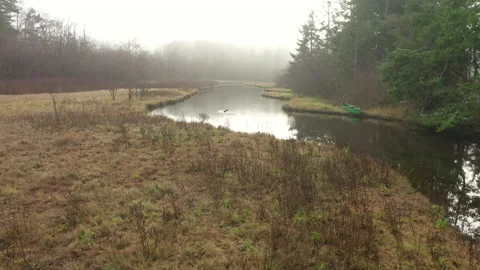 Canoe Pulled Up On the Shore of a Slough In the Pacific Northwest.  Stock Footage 145364510