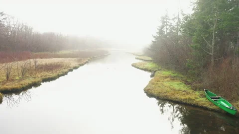 Canoe Pulled Up On the Shore of a Slough In the Pacific Northwest.  Stock Footage 145366027