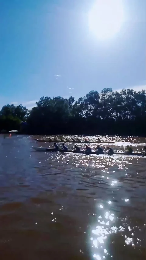 Canoe race Stock Footage 237506294
