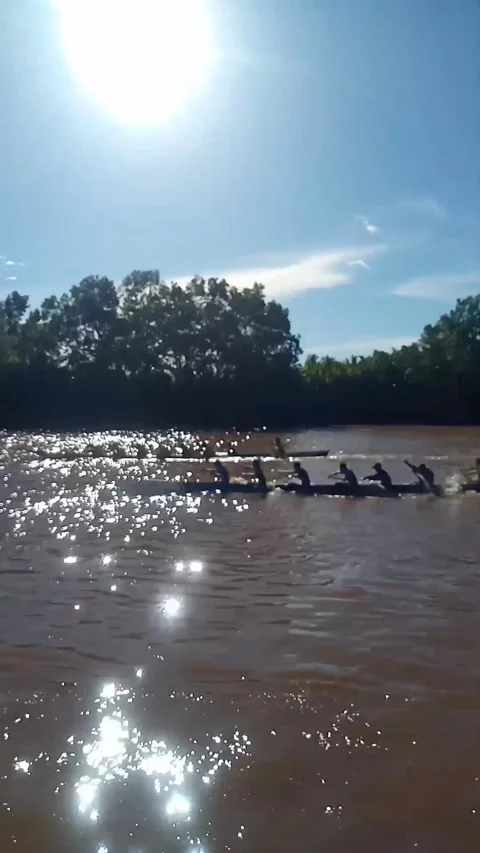 Canoe race on the river Stock Footage 237505291