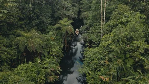 Canoe, Rainforest, Amazon River, Ecuador - Stock Video Footage Stock Footage 205825022