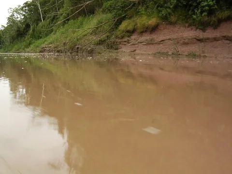 Canoe Ride on Muddy River in Amazon Jungle Rainforest Stock Footage 112943918