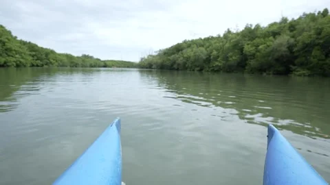 Canoe on the river exploring mangrove forest in kalimantan Stock Footage 255869216