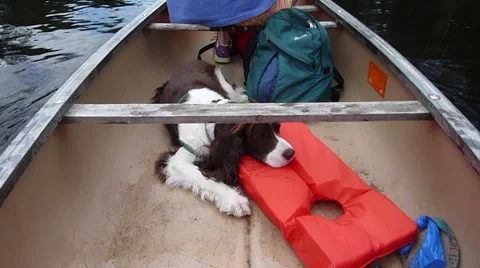 Canoe on River Stock Footage 42907235