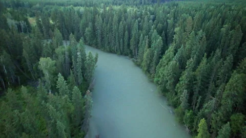 Canoe River Grounds 库存影片 344830274