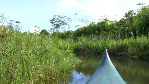 Canoe in a River in Rainforest Stock Footage 137643033