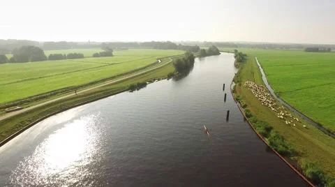 Canoe on river with sheep on the dike. Video stock 66377928