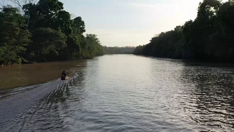 Canoe sailing on a river surrounded by trees 2 Stock Footage 111611704