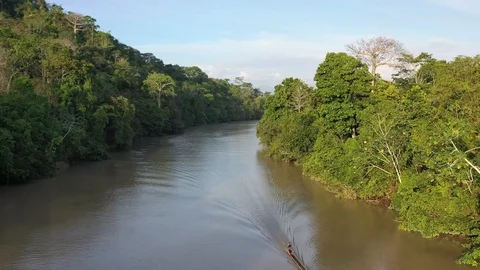 Canoe sailing on a river surrounded by trees 3 Stock Footage 111611716