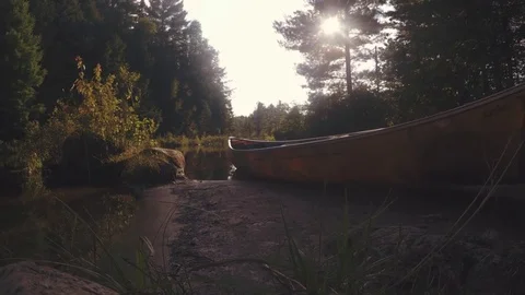 Canoe sits on beach in the forest Stock Footage 81921276