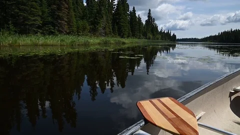Canoe slowly drifting on a river filled with lilly pads to reveal a scenic view Stock Footage 117243681