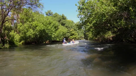 Canoe through Trees and Rapids Zambezi River Zambia Stock Footage 135222147