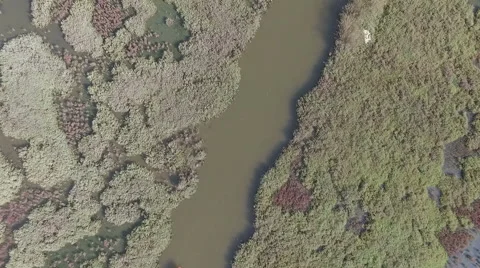 Canoeing Aerial View Stock Footage 58621831