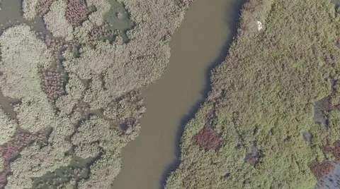 Canoeing Aerial View Stock Footage 58861810